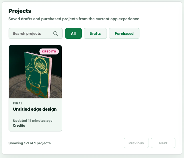 Projects panel in the profile workspace